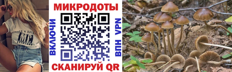 Галлюциногенные грибы Cubensis  купить  сайты  Белозерск 